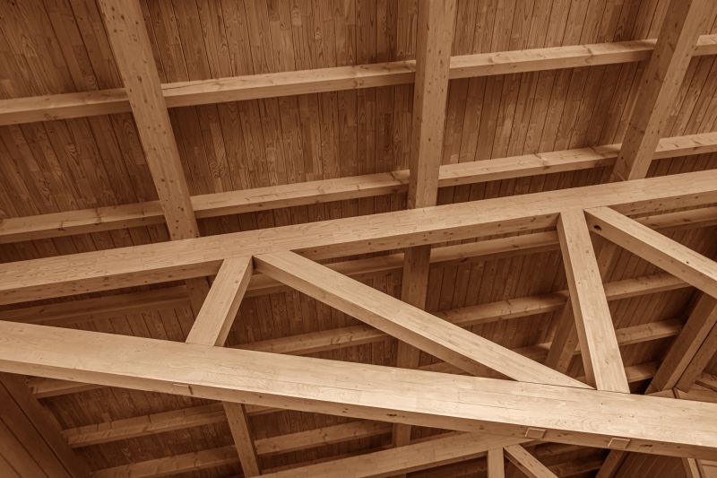Ceiling Joist Repair in Conroe, TX